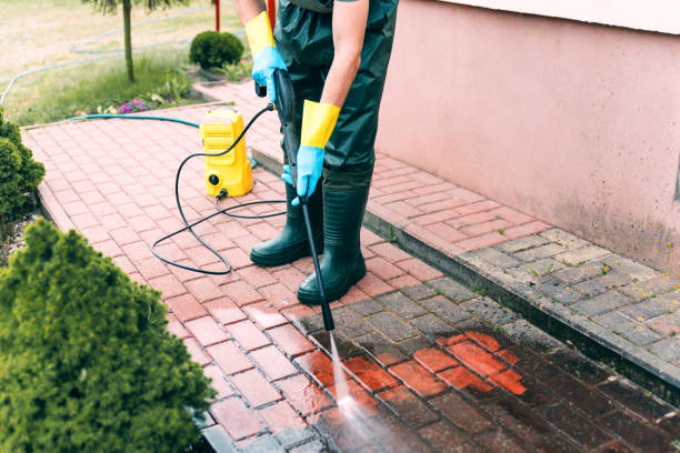 Trusted Cayuga Heights, NY Pressure Washing Services Experts